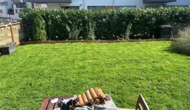 Einzug im Mai, Anlage im Juli in der größten Hitze. Feintuning heute. Done