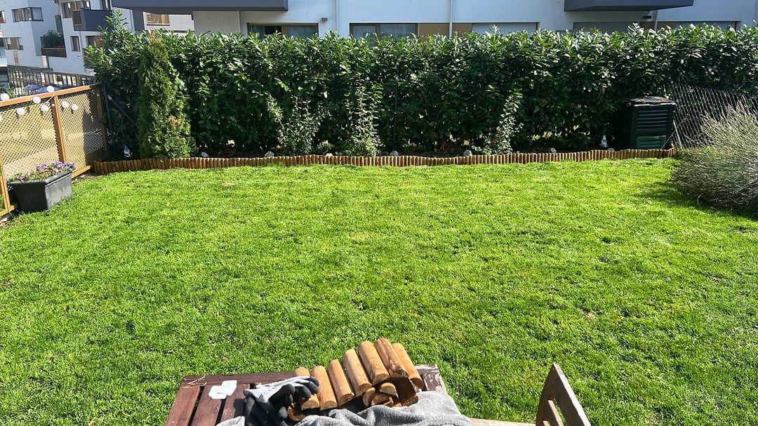 Einzug im Mai, Anlage im Juli in der größten Hitze. Feintuning heute. Done