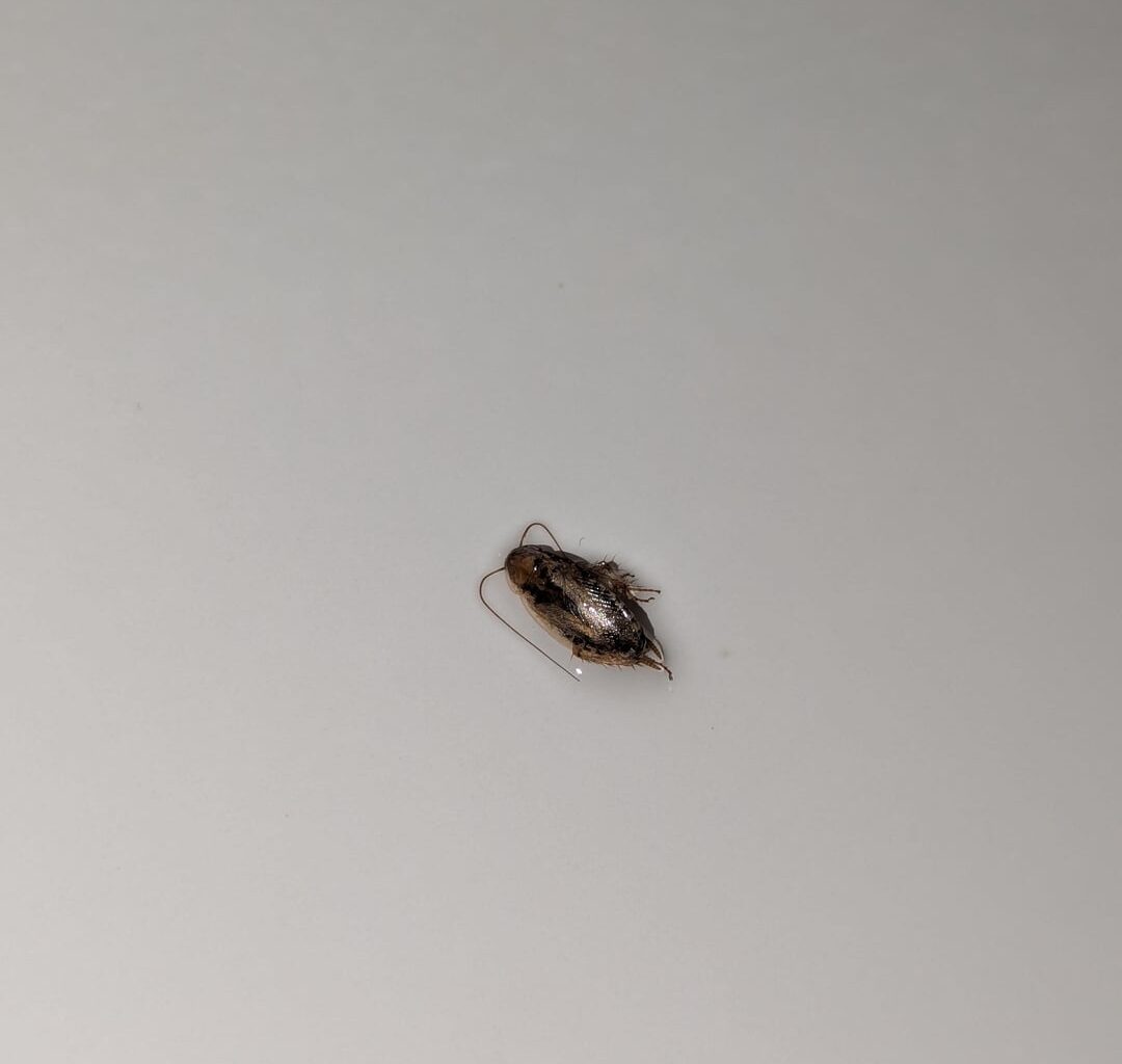 Was ist hier in meiner Dusche abgestürzt?