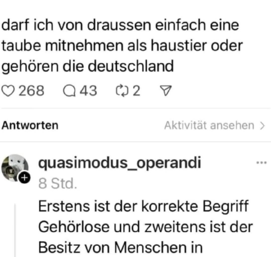 🇩🇪