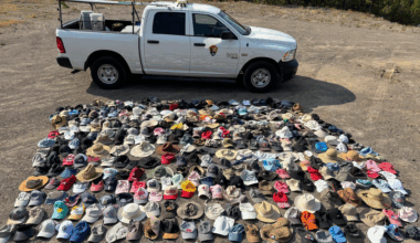 Yellowstone employees recover over 300 hats from hydrothermal areas