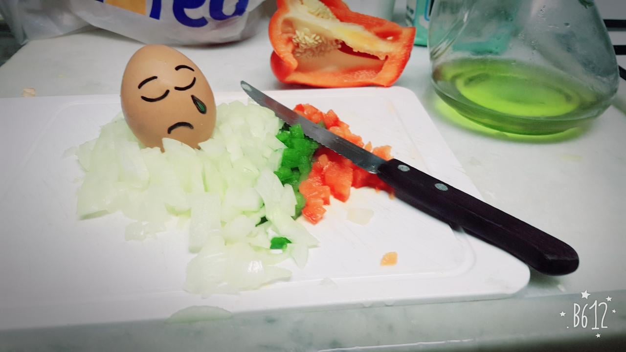 Picando cebolla😭😭