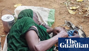 ‘A donkey cart out of El Fasher costs more than a new car’: how 500 days under siege is tearing the city apart