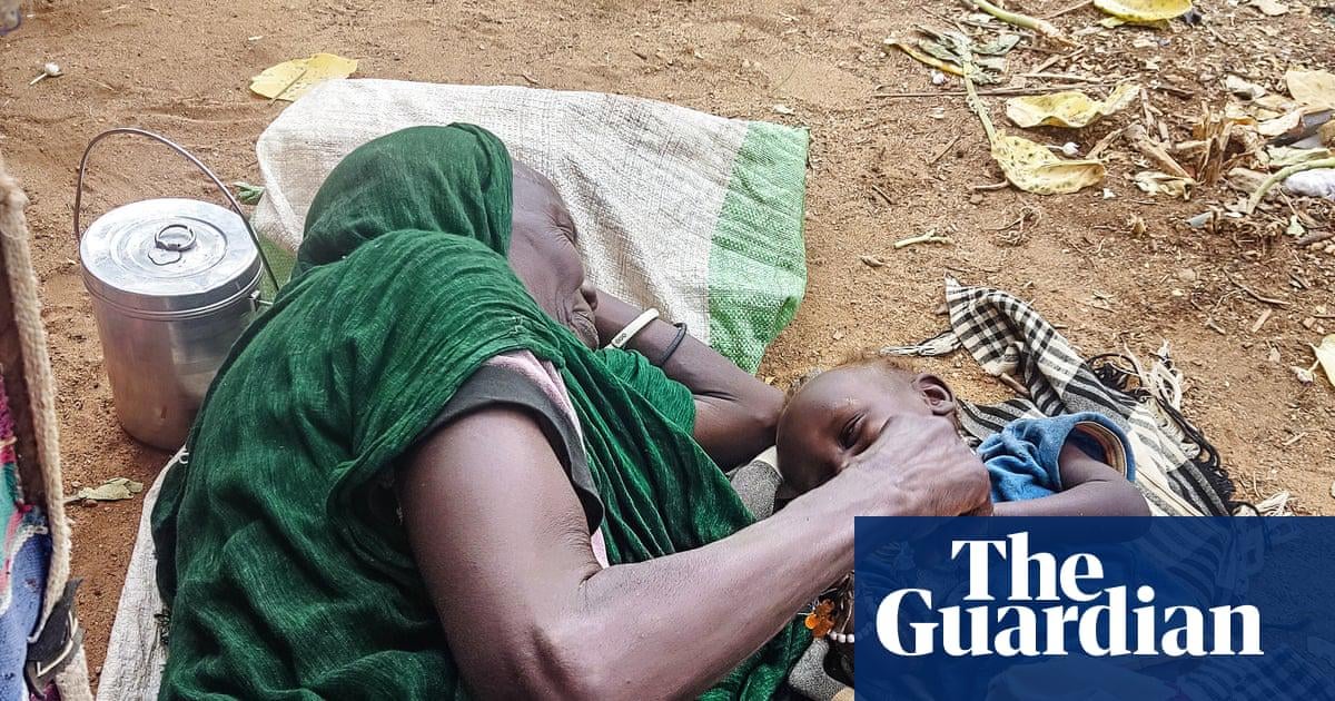 ‘A donkey cart out of El Fasher costs more than a new car’: how 500 days under siege is tearing the city apart