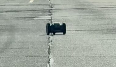 Escaped robot lawnmower