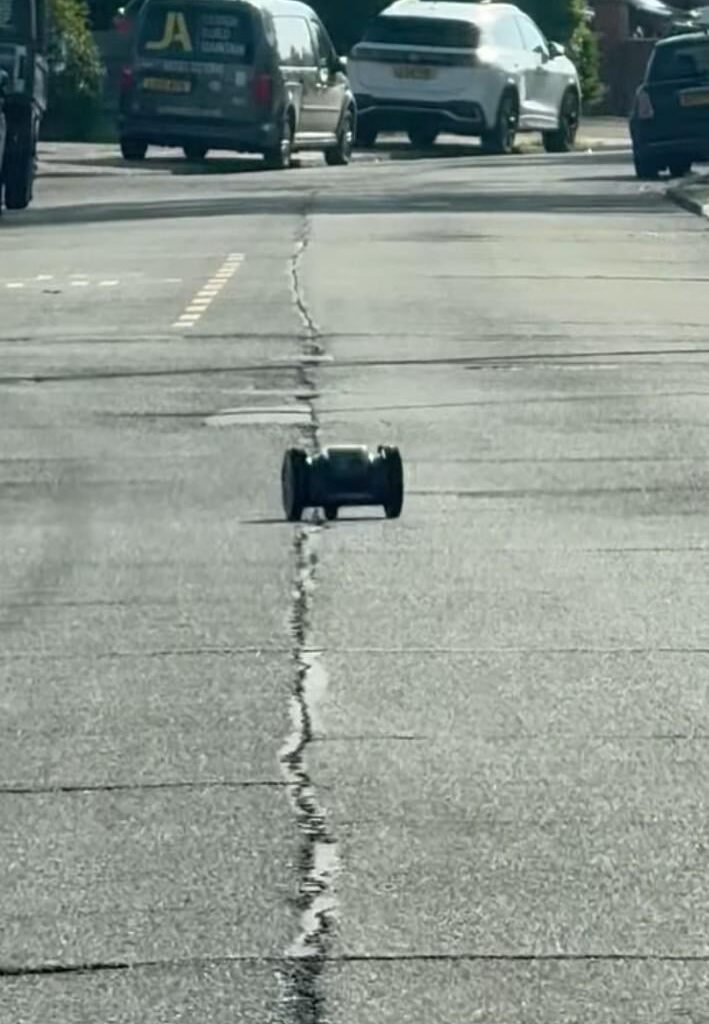 Escaped robot lawnmower