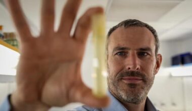 Warming seas threaten key phytoplankton species that fuels the food web, study finds