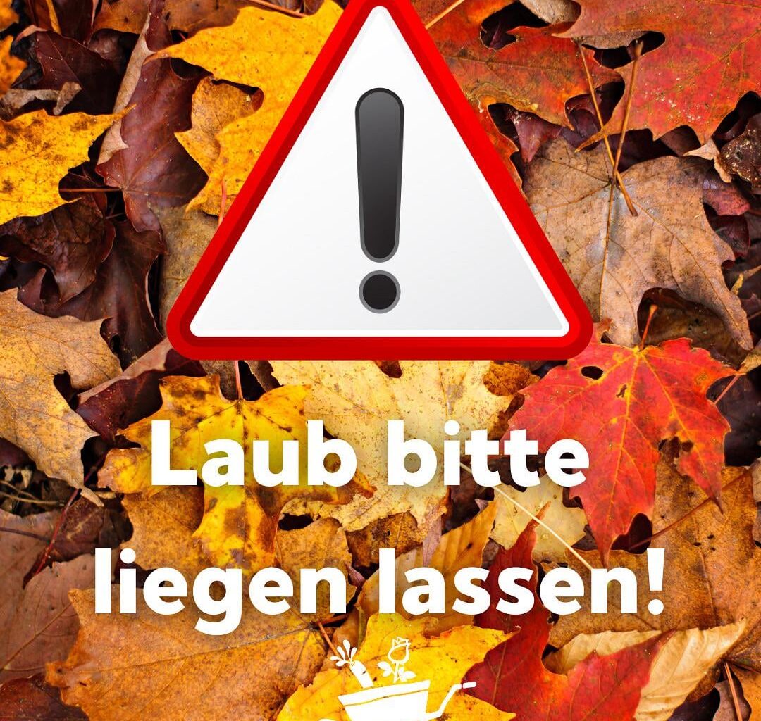 Laub bitte liegen lassen!