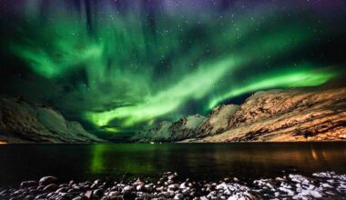 Northern Lights [Ersfjordbotn]🇳🇴
