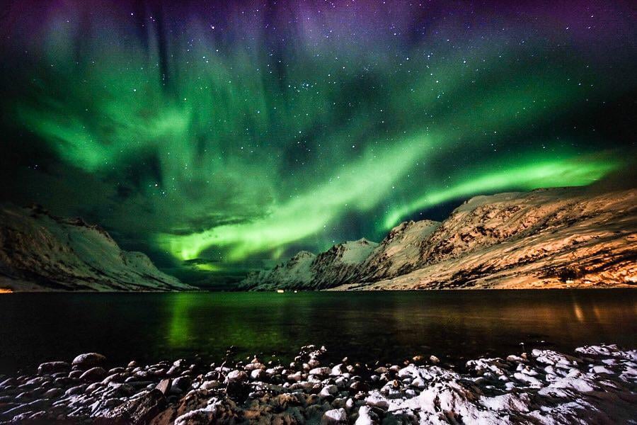 Northern Lights [Ersfjordbotn]🇳🇴