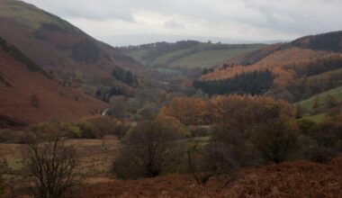 UK tattoo artist who wants to set up 'whites-only' town in Wales is to hold 'family camp'