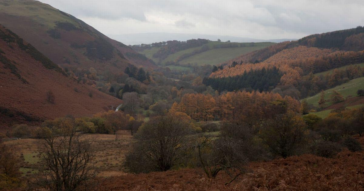 UK tattoo artist who wants to set up 'whites-only' town in Wales is to hold 'family camp'