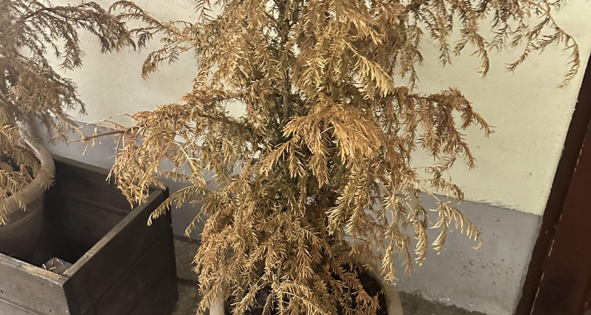 Kann man die noch retten?