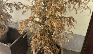 Kann man die noch retten?