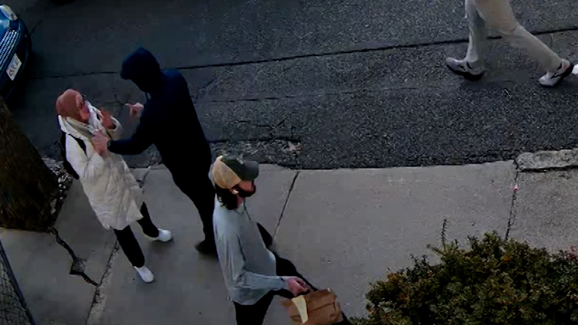 01 Rumeysa Ozturk.jpg