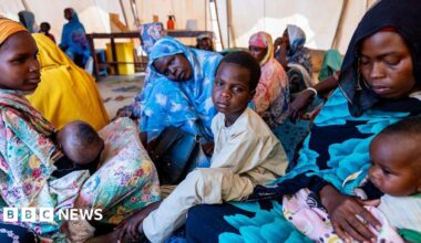 Fear of mass killings as thousands trapped in besieged Sudan city taken by militia group - live updates