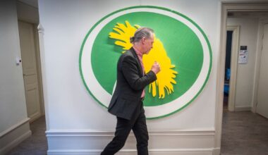 Äntligen dags för Lex Miljöpartiet