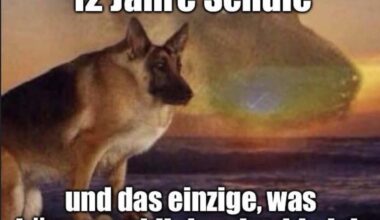 ich_iel