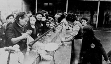 « Vichy, histoire d’une dictature » : un nouvel ouvrage de référence sur cette période sombre