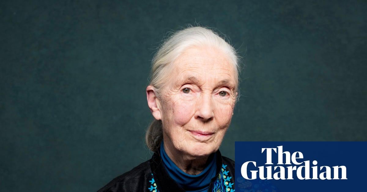 Jane Goodall, world-renowned primatologist, dies aged 91