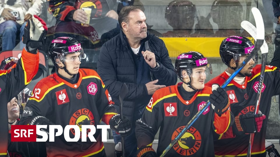 Champions Hockey League - Bern löst Achtelfinal-Ticket – Lausanne blamiert sich in Grenoble - Sport