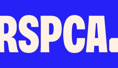 Citizens’ Assembly urges UK Government to act on animal welfare pledges - RSPCA