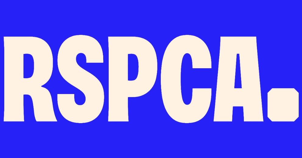Citizens’ Assembly urges UK Government to act on animal welfare pledges - RSPCA