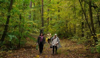 Mushroom collecting in Germany enjoys a revival