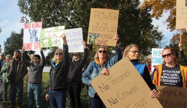 ‘This needs to be the start': Protesters gather at New Denmark Park to take part in nationwide No Kings event - Albert Lea Tribune