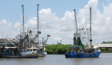 On Louisiana’s Gulf Coast, residents fume as insurers hike rates and invest in fossil fuel projects » Yale Climate Connections