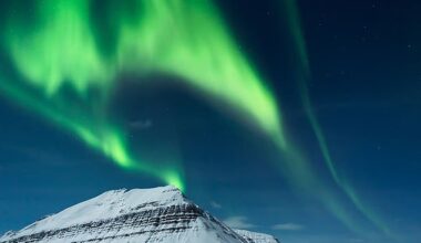 The Northern Lights is one of the most sought-after sights - and sees many tourists flock to spot them each year