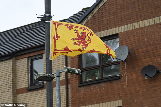 As well as saltires, the Royal Standard, known as the Lion Rampant, have also been put up in Bridgeton