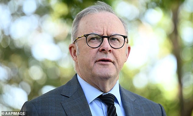Waters took aim at Anthony Albanese (pictured), saying he was 'blocking positive reform'