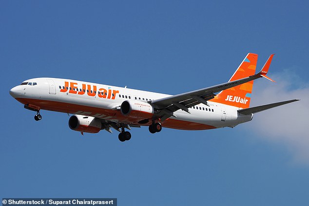 Both sadly died when their Jeju Air flight was returning from Bangkok, Thailand to Muan International Airport on December 29, 2024 (stock)