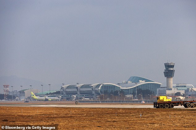 The airport is located near to where water birds like to congregate, and that morning air traffic control alerted the Boeing 737 pilots that birds were in the area (stock)