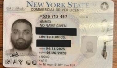 The DHS said it had arrested Anmol Anmol from India, who had been issued a no¿name driver's license by the state of New York
