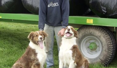 Steven Maile, 40, launched legal action alongside his brother and mother after being cut out of his grandmother's will