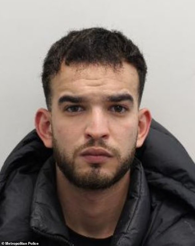 Ahmed Djidi pleaded guilty to one count of theft after being part of the trio who robbed Tim Hortons boss Axel Schwan of a £65,000 Patek Philippe