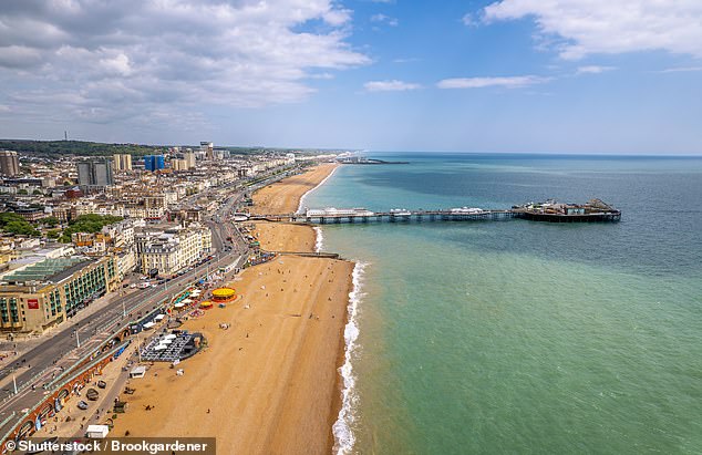 The alleged rape took place on Brighton beach (pictured) in the early hours of Saturday October 4, a Sussex Police spokesman said