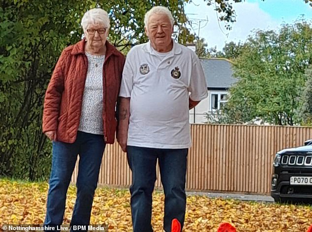 Glenys and Arthur Pinnock built the memorial six years ago and have since maintained it