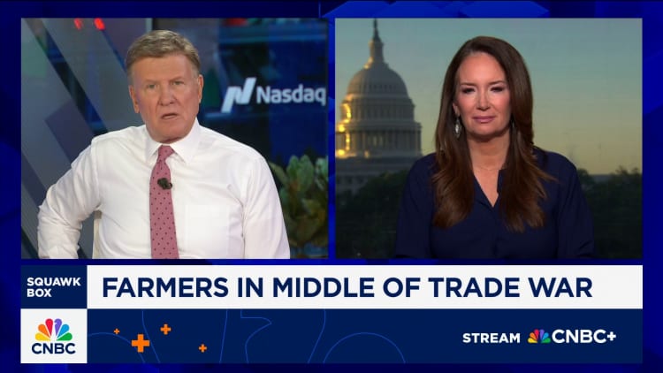 Watch CNBC's full interview with Agriculture Secretary Brooke Rollins