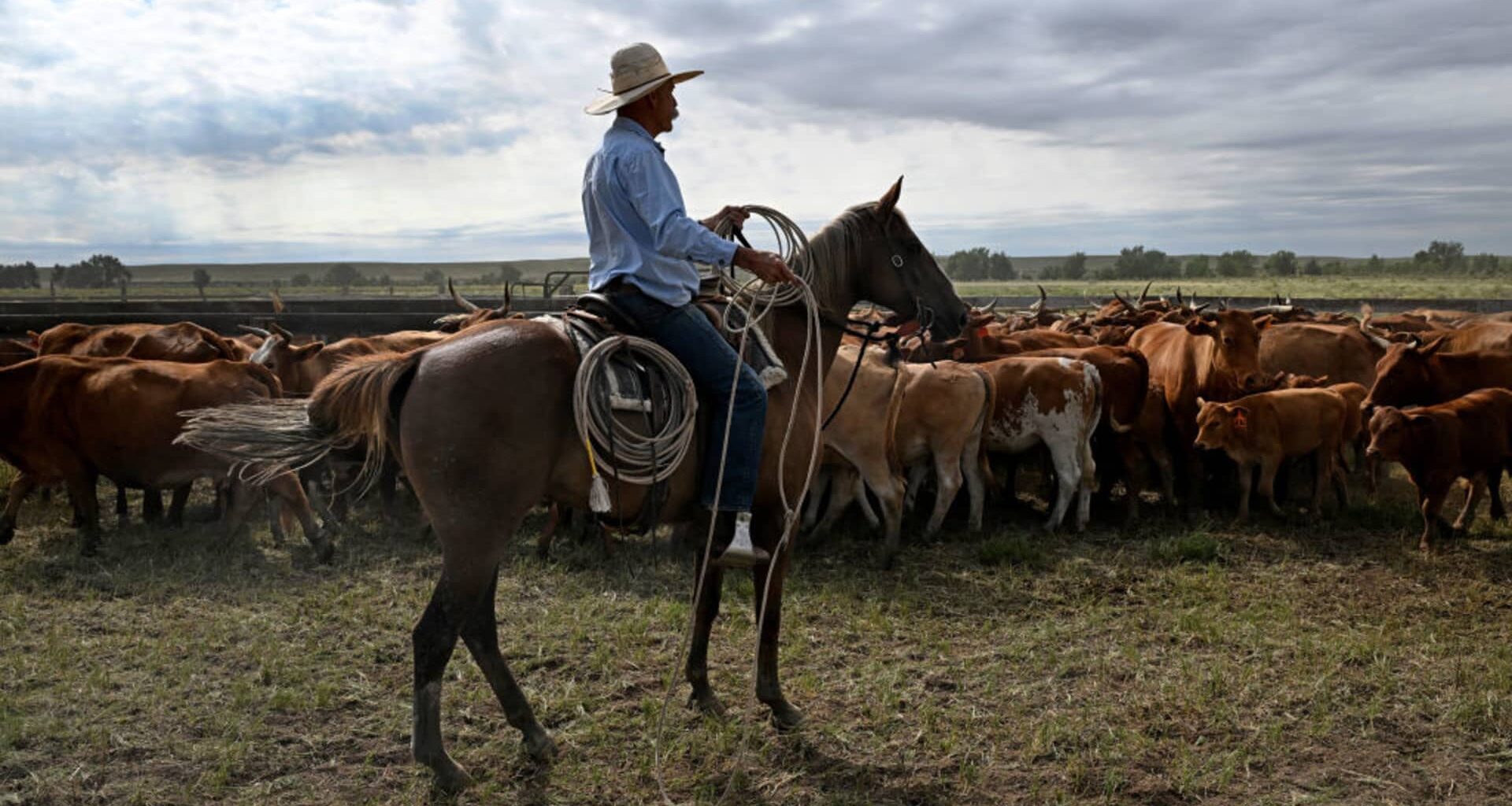 Ranchers don't understand tariffs amid Argentine beef row