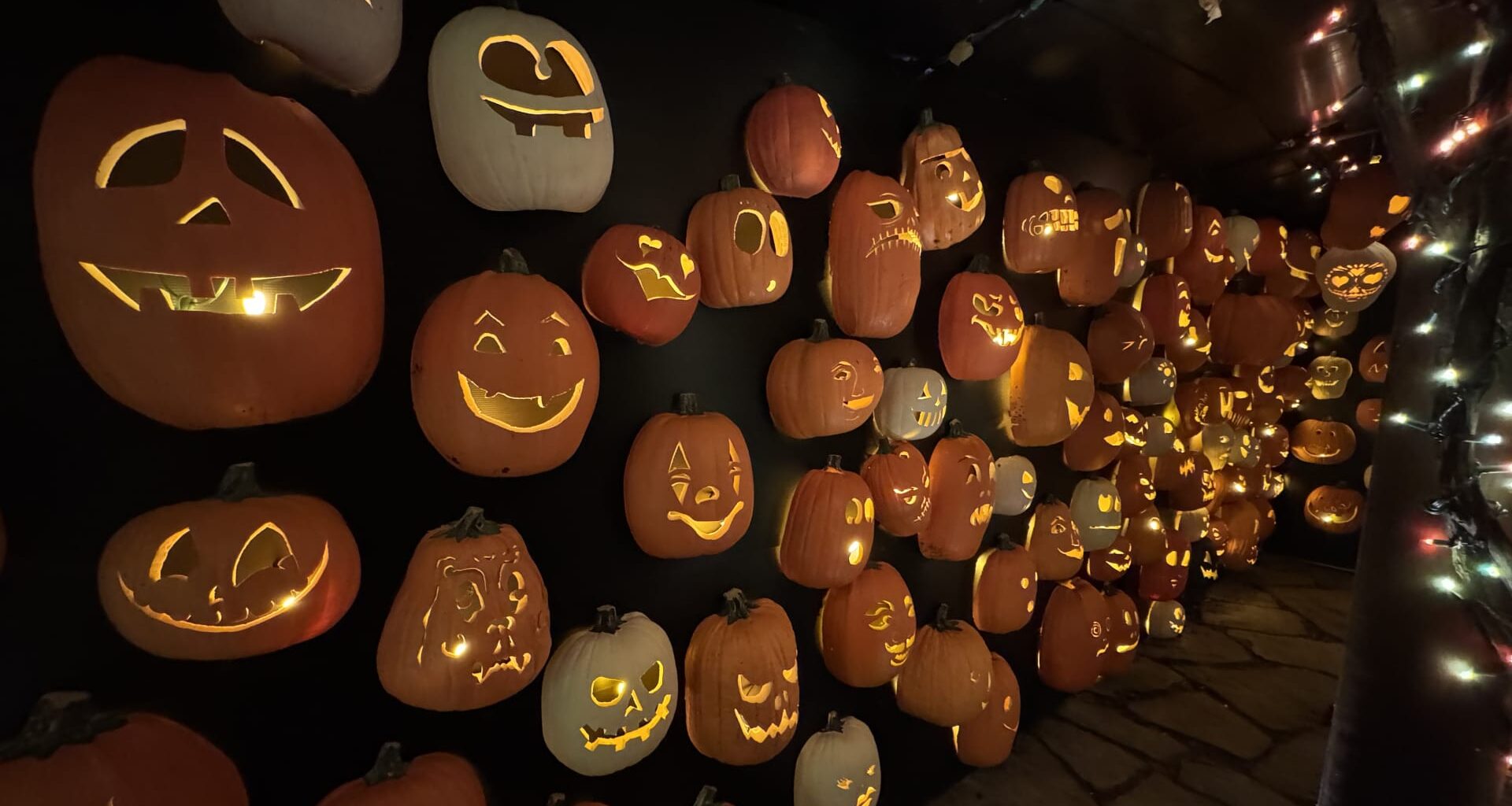 How Trump's China tariffs are taxing the price of a Halloween pumpkin