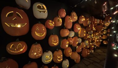 How Trump's China tariffs are taxing the price of a Halloween pumpkin