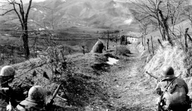 Descendants of 10th Mountain Division reflect on WWII, fear America is moving towards fascism