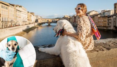 Italy travel hub now charges tourist dogs a daily fee