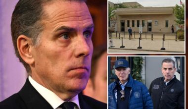 Hunter Biden linked to proposal to sell land around US Embassy in Romania