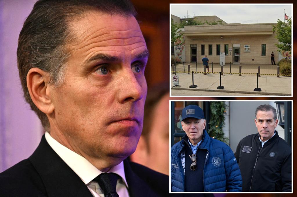 Hunter Biden linked to proposal to sell land around US Embassy in Romania