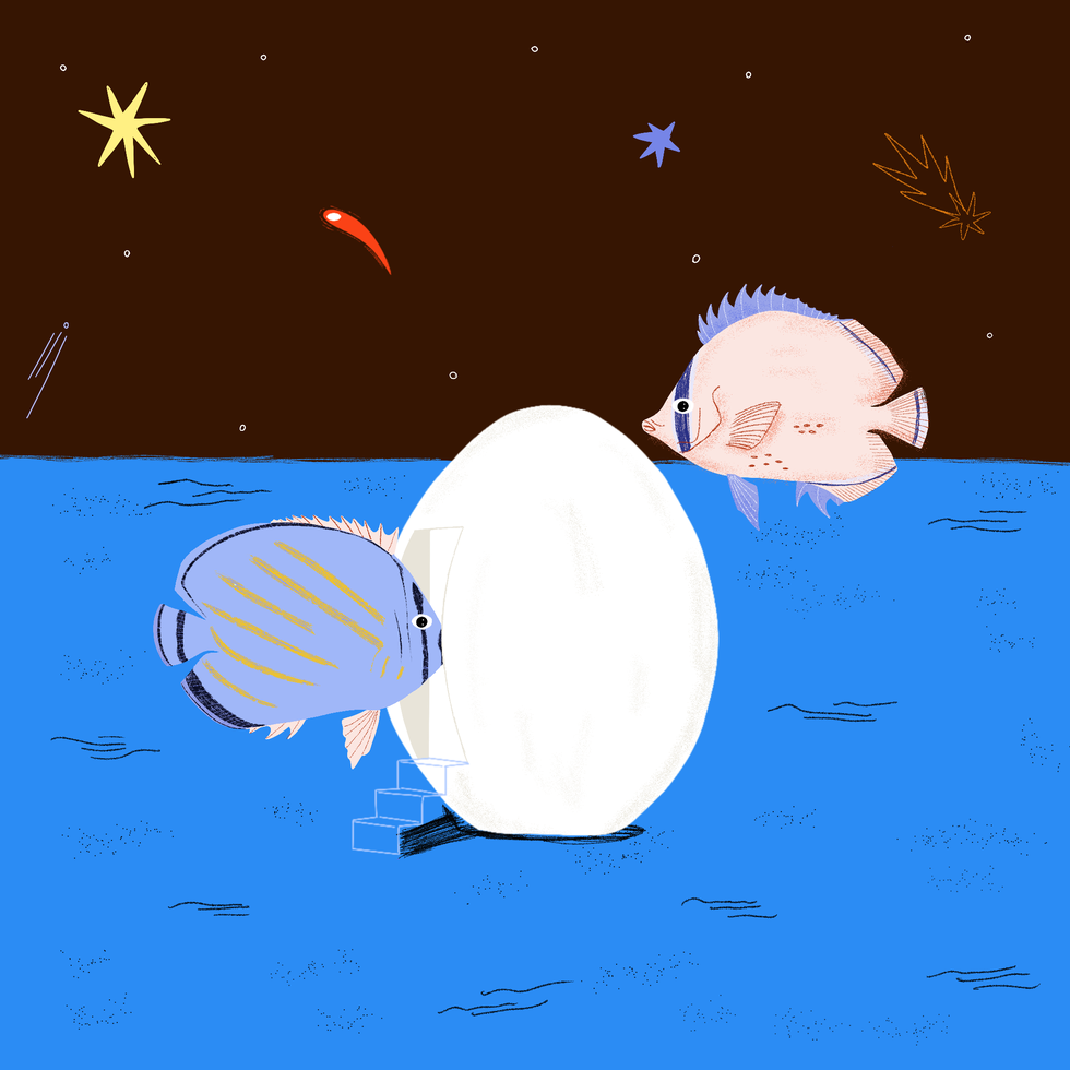 oroscopo di novembre 2025