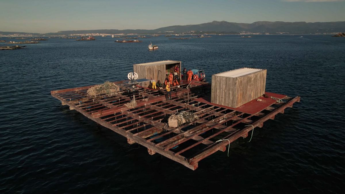 From Spanish mussel farms to EU policymakers: following the data powering Europe's blue economy